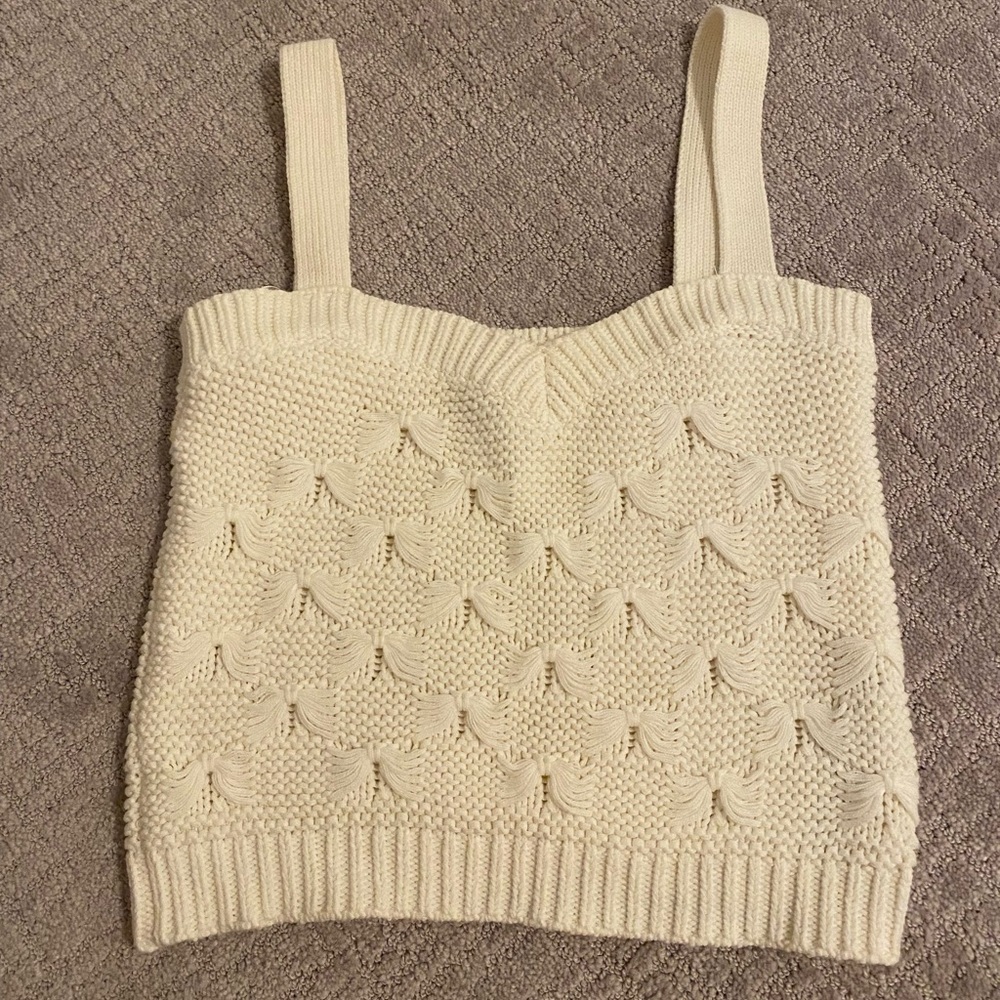 NWOT Zara Cream crop top